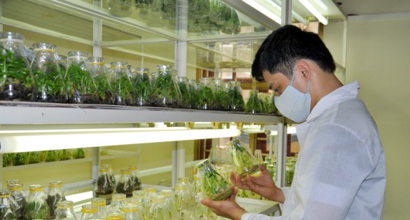 Cầu nối đưa tiến bộ KHCN vào đời sống