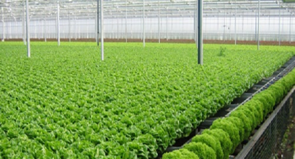 Trung tâm phân tích và chứng nhận chất lượng tỉnh Lâm Đồng không ngừng nâng cao chất lượng dịch vụ