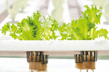 Thử nghiệm Ngày nay số 05