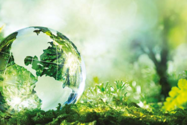 Thử nghiệm Ngày nay số 07