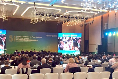 VinaCert tham dự Hội nghị Ban kỹ thuật CODEX quốc tế về phụ gia thực phẩm lần thứ 51