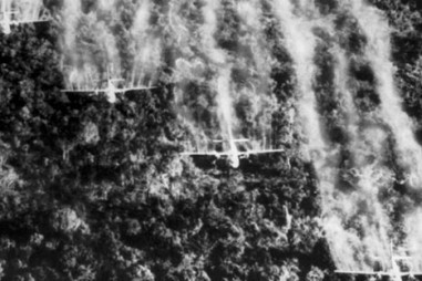 Những thí nghiệm tàn bạo từng được thực hiện trên cơ thể người