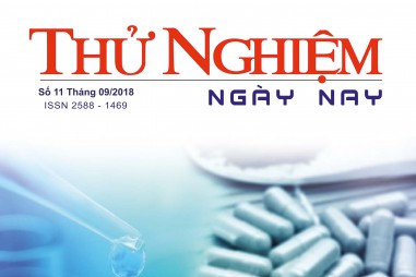 Thử nghiệm Ngày nay số 11