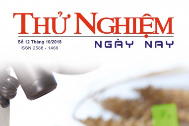 Thử nghiệm Ngày nay số 12
