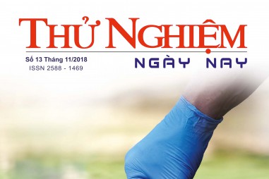Thử nghiệm Ngày nay số 13