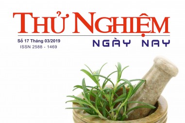 Thử nghiệm Ngày nay số 17
