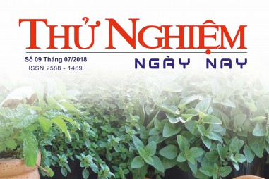 Thử nghiệm Ngày nay số 09