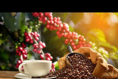 Cà phê có công dụng chống ung thư hay gây ung thư?