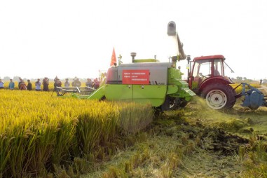Máy gặt đập không người lái sẽ thay thế nông dân?
