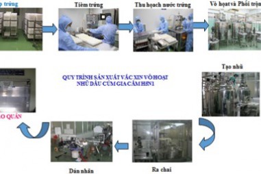 Việt Nam sản xuất được vắc xin phòng chống cúm gia cầm