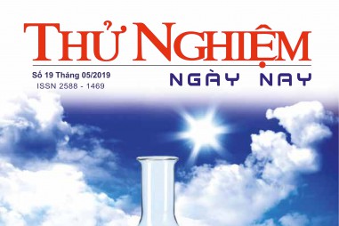 Thử nghiệm Ngày nay số 19