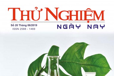 Thử nghiệm Ngày nay số 20