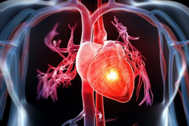 Phương pháp ghép tế bào gốc mới có thể giúp phục hồi tim bị tổn thương