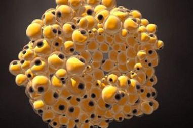 Các nhà khoa học “biến” thành công tế bào ung thư vú thành chất béo