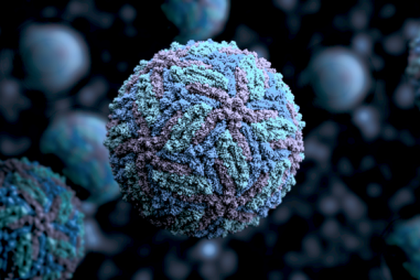 Không phải tất cả virus đều xấu, một số còn giúp chúng ta chống lại nhiễm trùng, HIV và cả ung thư