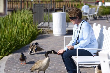 Người mù có thể nhìn thấy với công nghệ cấy chip não mới trong tương lai gần