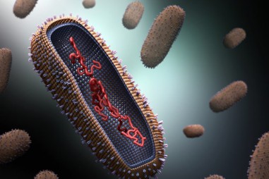 Dịch bệnh cũng chọn đối tượng lây nhiễm?