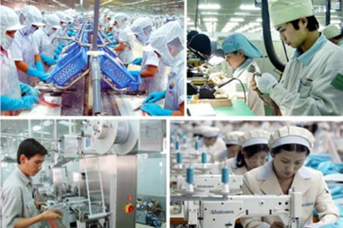 Áp dụng khoa học công nghệ để nâng cao năng suất chất lượng