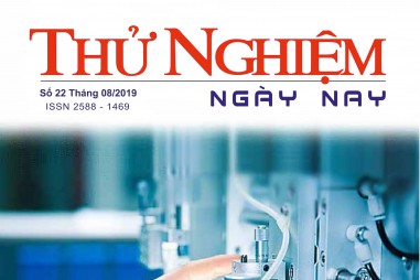 Thử nghiệm Ngày nay số 22