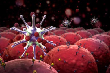 Các nhà khoa học vừa "crack" được mã code một virus đặc biệt, từ đó họ sẽ tạo ra vắc-xin chống ung thư