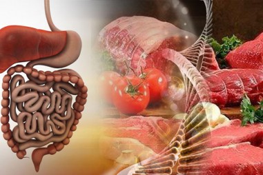 Nghiên cứu: Con người không được ‘thiết kế’ để ăn thịt