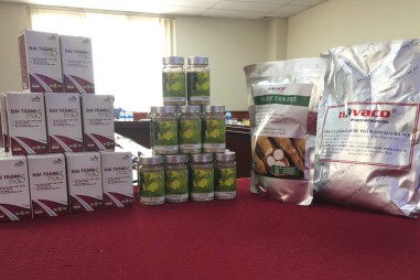 Sản xuất tá dược tan từ tinh bột sắn