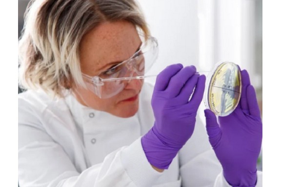 Vi khuẩn “ăn nhựa”, giải pháp thần kỳ cho vấn đề rác thải nhựa toàn cầu?