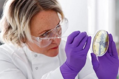 Vi khuẩn “ăn nhựa”, giải pháp thần kỳ cho vấn đề rác thải nhựa toàn cầu?