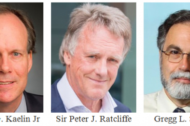 Trao giải Nobel Y học năm 2019