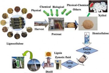 Chuyển hóa chất thải lignoxenluloza thành nhiên liệu