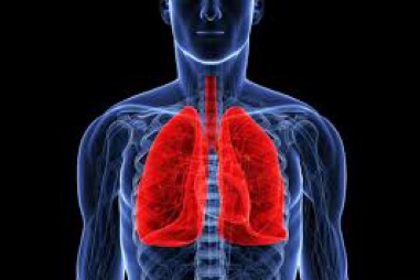 Những người thừa cân có chất béo trong… phổi