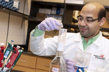 Cây bạch quả hỗ trợ điều trị tiểu đường tuýp 2