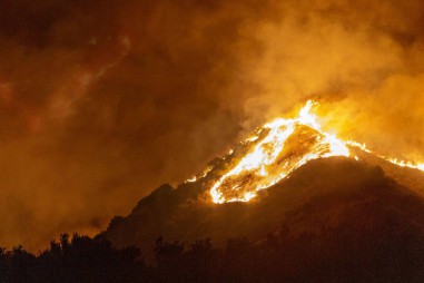 Hơn 11.000 nhà khoa học tuyên bố 'tình trạng khẩn cấp khí hậu'