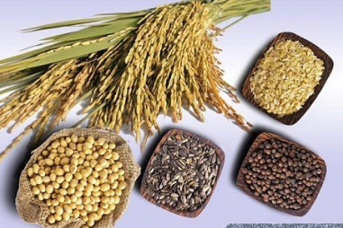 Thống nhất phương pháp xác định acid hữu cơ trong nguyên liệu TĂCN