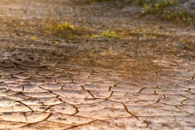 Mỹ chế chất giữ ẩm để chống hạn cho cây trồng