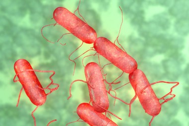 Những bước đầu tiên để thử nghiệm sản phẩm vi sinh vật