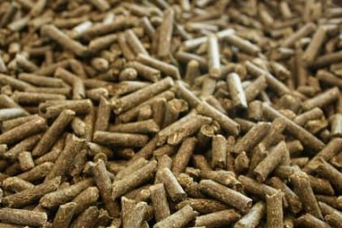 Xu thế hiện đại trong dinh dưỡng động vật nuôi: Giảm đạm thô trong khẩu phần