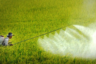 Các phương pháp phân tích giúp phát hiện thuốc trừ sâu giả như thế nào?