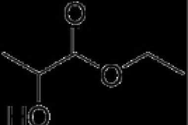Nghiên cứu tổng hợp các chất xúc tác dị thể có nguồn gốc tự nhiên