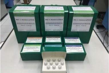 Nghiên cứu chế tạo bộ kit real-time PCR phát hiện và định lượng một số đột biến gen ty thể phổ biến