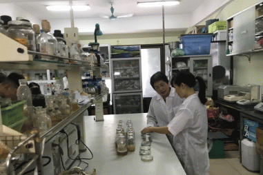 Xử lý rác thải nhựa bằng nguyên liệu di truyền bản địa