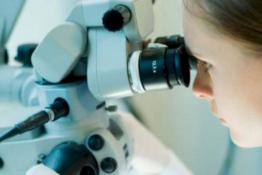 Đã có cách để sản tăng lượng protein gấp hàng nghìn lần