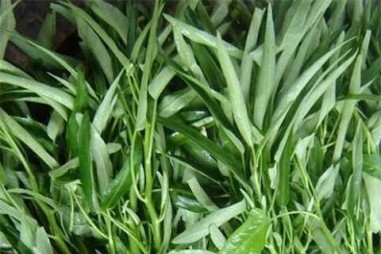 3 ‘không’ khi ăn rau muống ai cũng phải nhớ