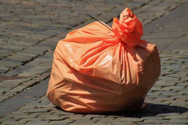 Sâu bột giải quyết vấn đề rác thải nhựa