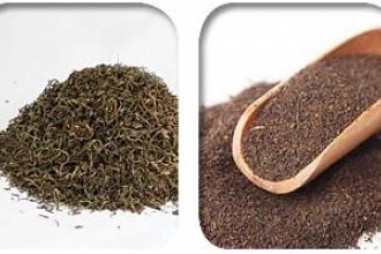 Máy đóng gói tự động trà dược thảo túi lọc đáp ứng các tiêu chuẩn EU