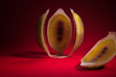 Trái cây nhân tạo ăn được in bằng công nghệ 4D