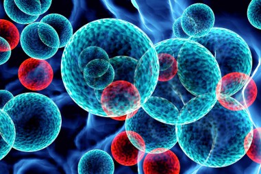 Hạt nano từ tính, giải pháp mới điều trị ung thư