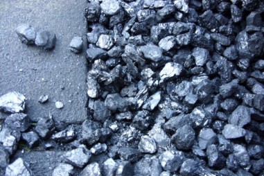 Than sinh học có nguồn gốc từ chất thải thực vật