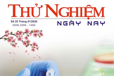 Thử nghiệm Ngày nay số 25