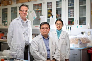 Kháng sinh có thể là phương pháp điều trị đầy hứa hẹn cho dạng sa sút trí tuệ